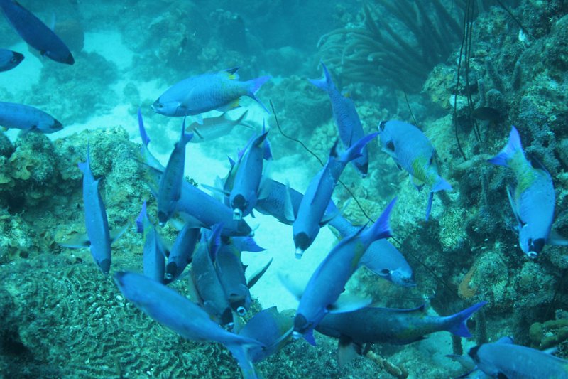 Curacao 04-12 193.JPG